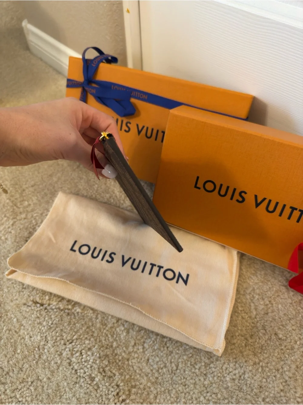 Louis Vuitton Pochelle Felicie Zipped Insert in Brown Damier Ebene